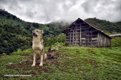 Guilan and Mazandaran travel photograph
