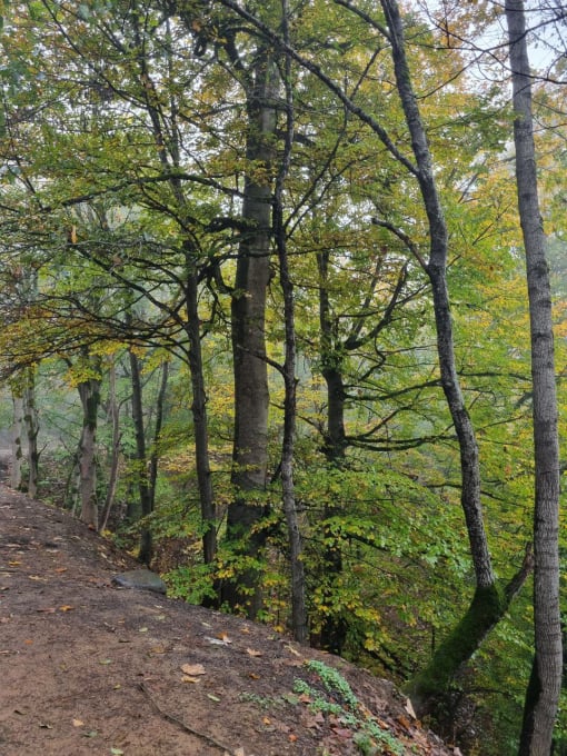 Guilan and Mazandaran travel photograph