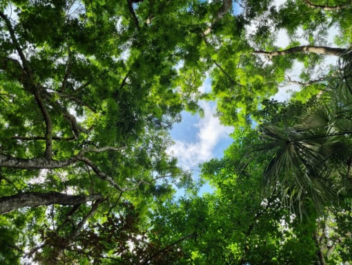 Cancun travel photograph